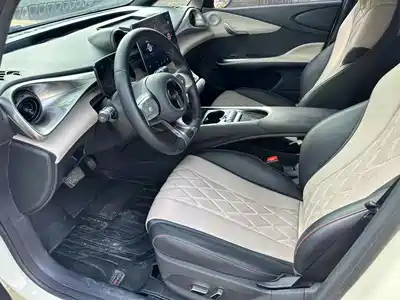 BYD Dolphin 2022