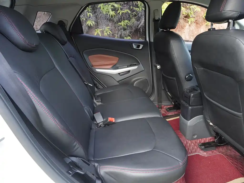 Ford EcoSport 2015 — фото 14