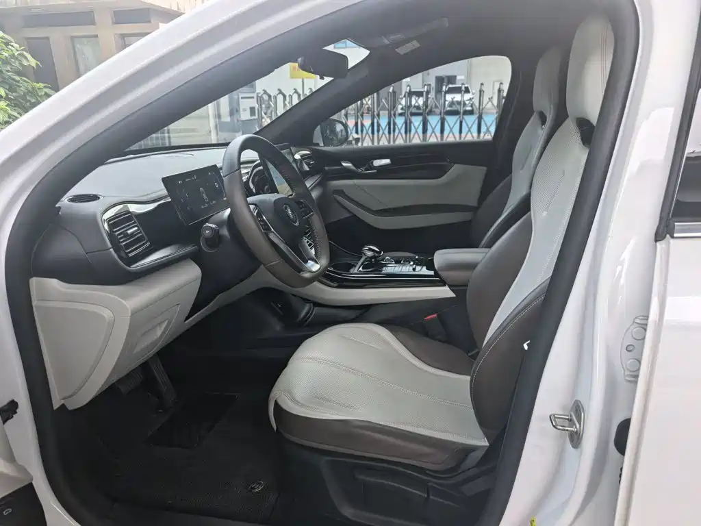 BYD Qin PLUS 2024 — фото 20
