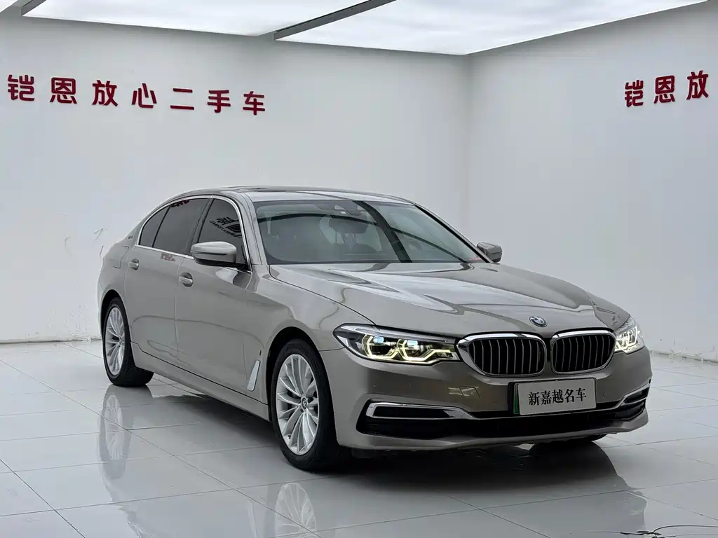 BMW 5 Series New Energy 2019