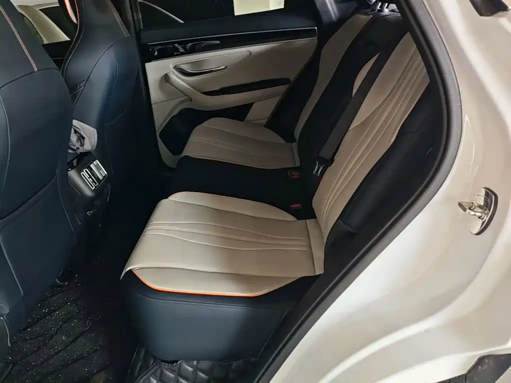 BYD Song PLUS New Energy 2023 — фото 17
