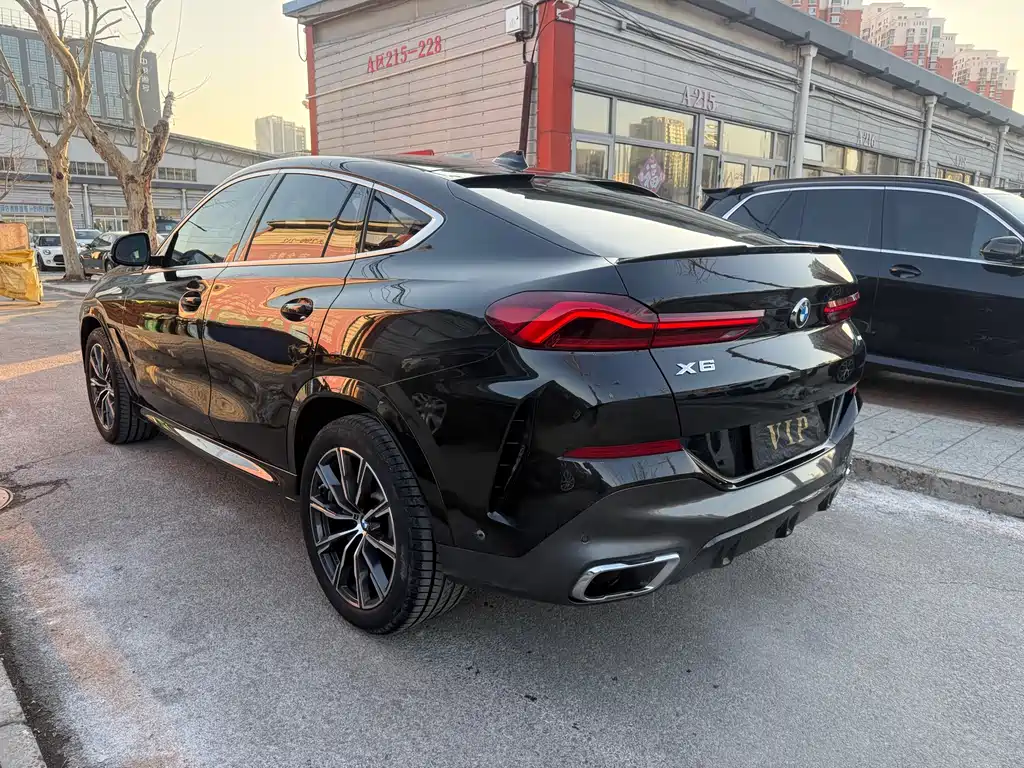 BMW X6 2020 — фото 12