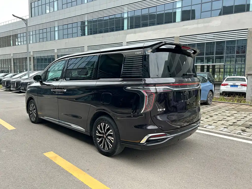 Hongqi HQ9 PHEV 2024 — фото 5