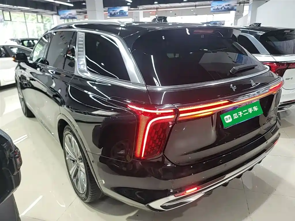 Hongqi E-HS9 2023 — фото 5