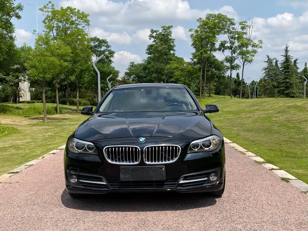 BMW 5 Series 2015 — фото 2