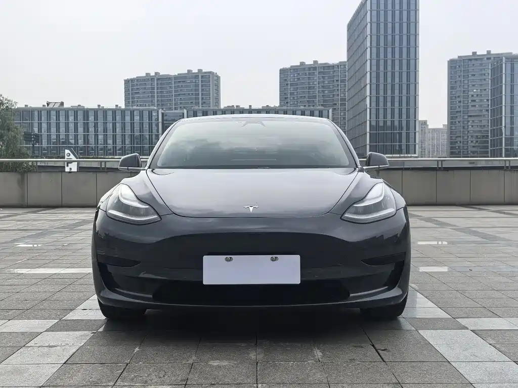 Tesla Model 3 2020 — фото 2