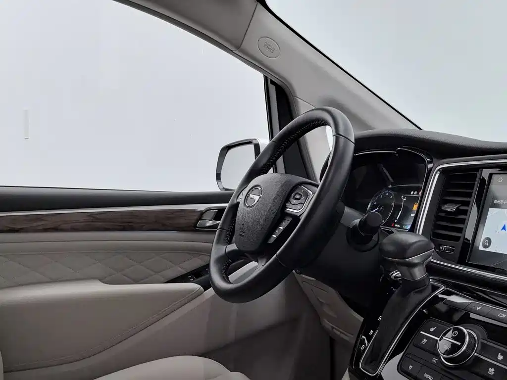 GAC Trumpchi M8 2020 — фото 22