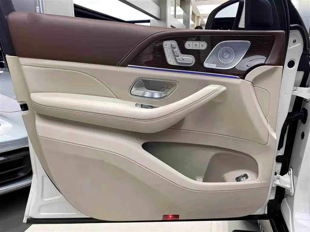 Mercedes-Benz Maybach GLS 2021 — фото 16