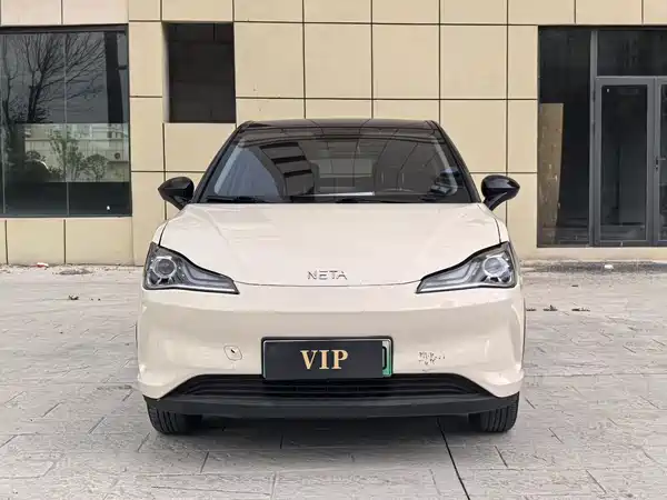 Neta V 2021