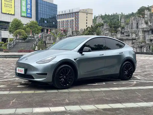Tesla Model Y 2024