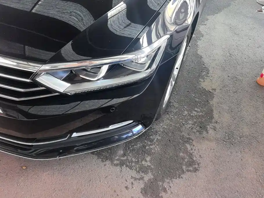 Volkswagen Magotan 2019