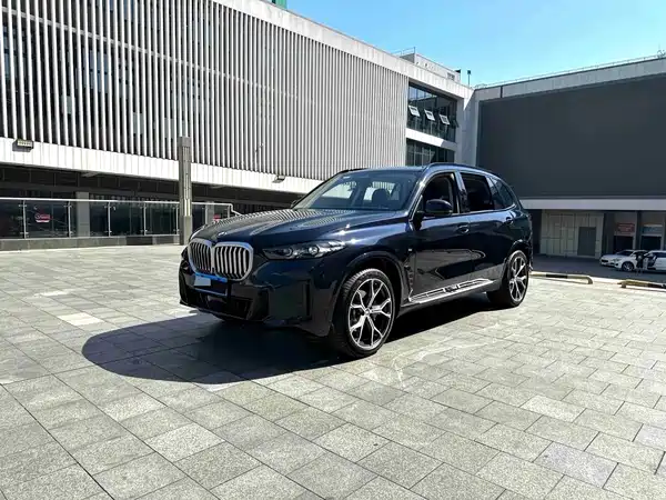 BMW X5 2024