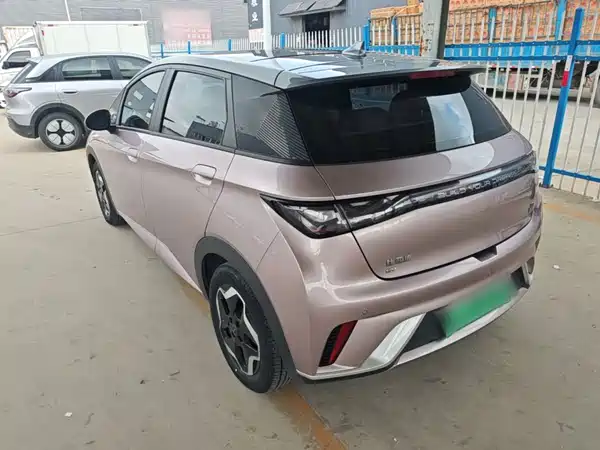 BYD Dolphin 2022