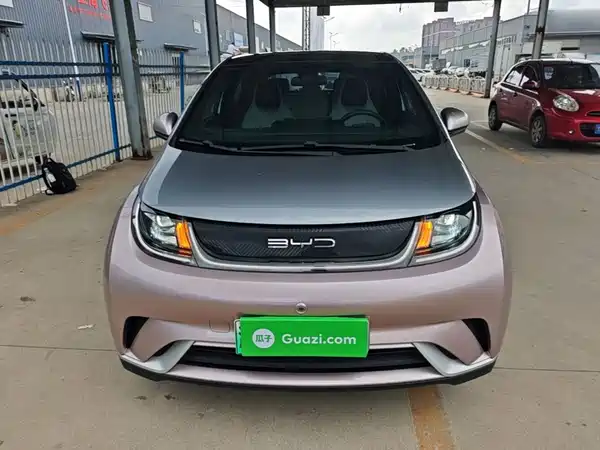 BYD Dolphin 2022