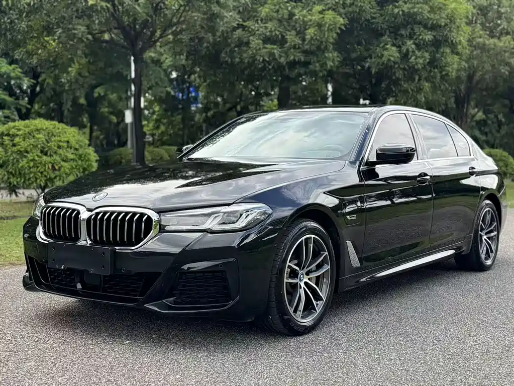 BMW 5 Series New Energy 2022