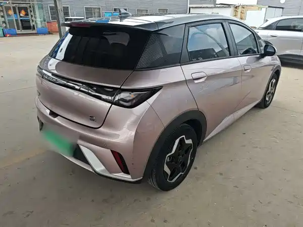 BYD Dolphin 2022