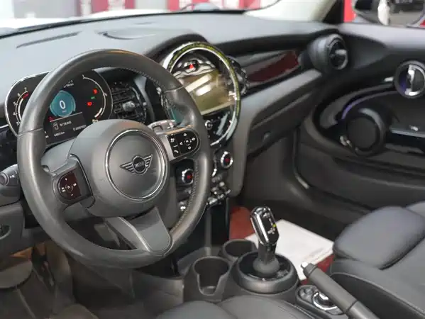 MINI MINI 2022