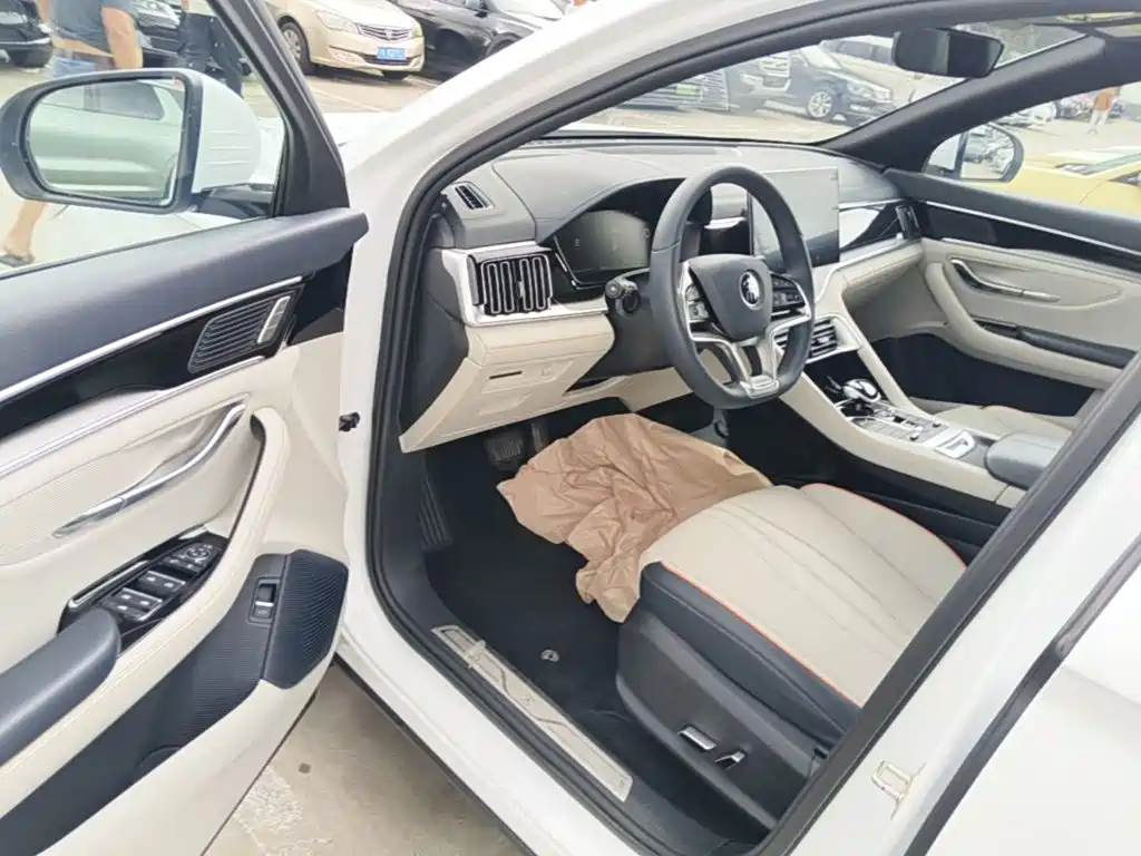 BYD Song PLUS New Energy 2023 — фото 16