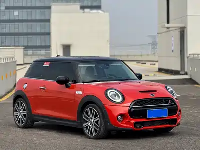MINI MINI 2019