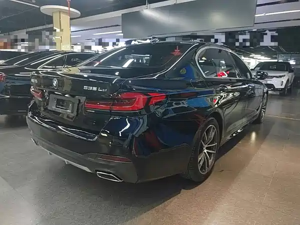 BMW 5 Series New Energy 2021