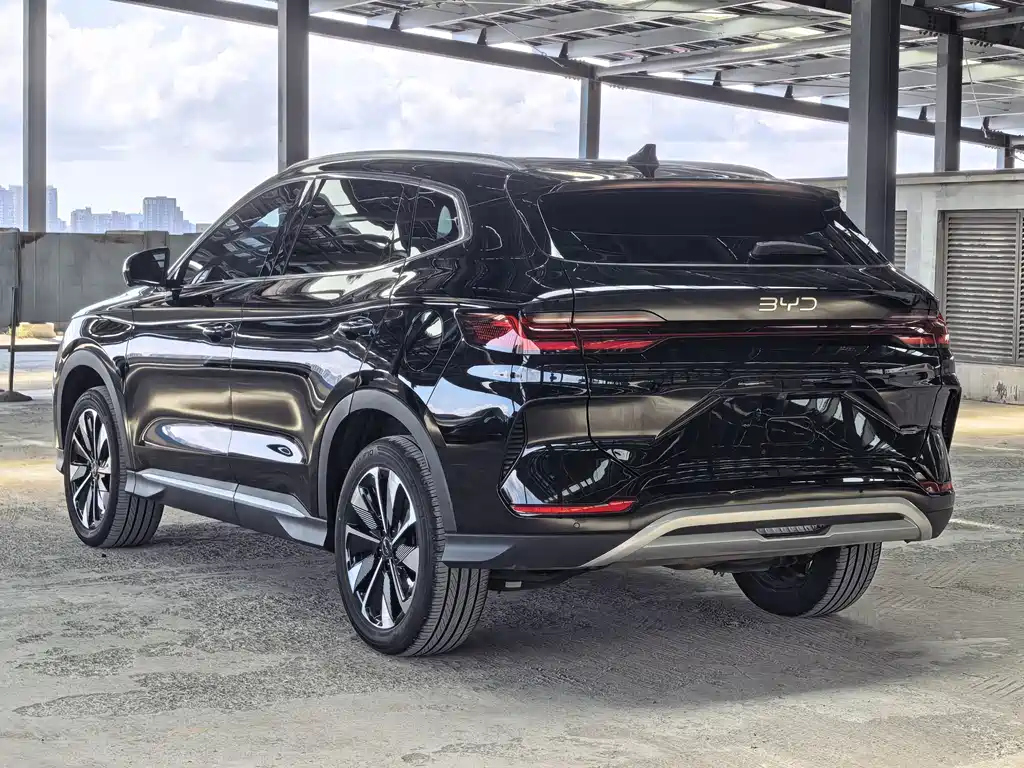 BYD Song PLUS New Energy 2024 — фото 6