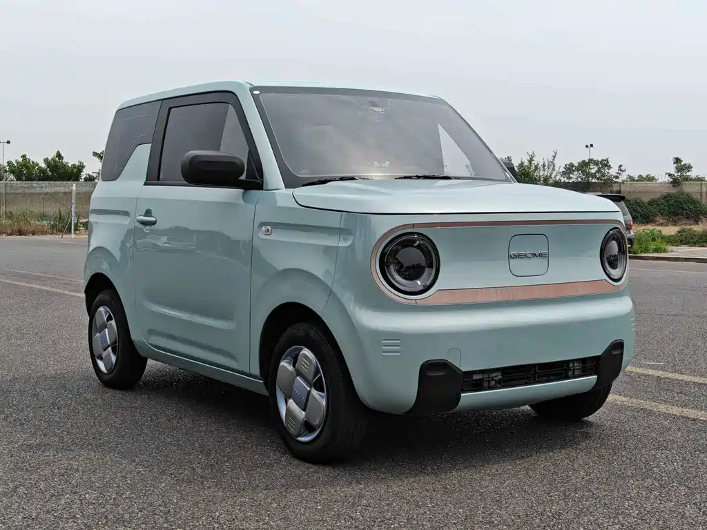 Geely Galaxy Panda 2024