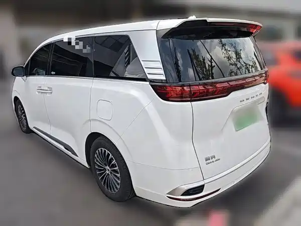 Denza D9 2023