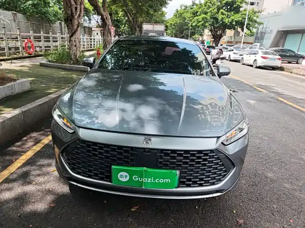 BYD Qin PLUS 2021