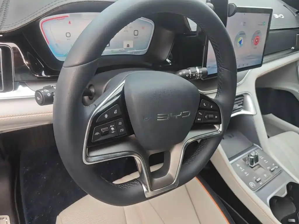 BYD PLUS New Energy 2024 — фото 11