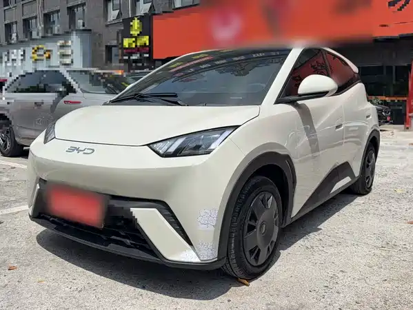 BYD Seagull 2024