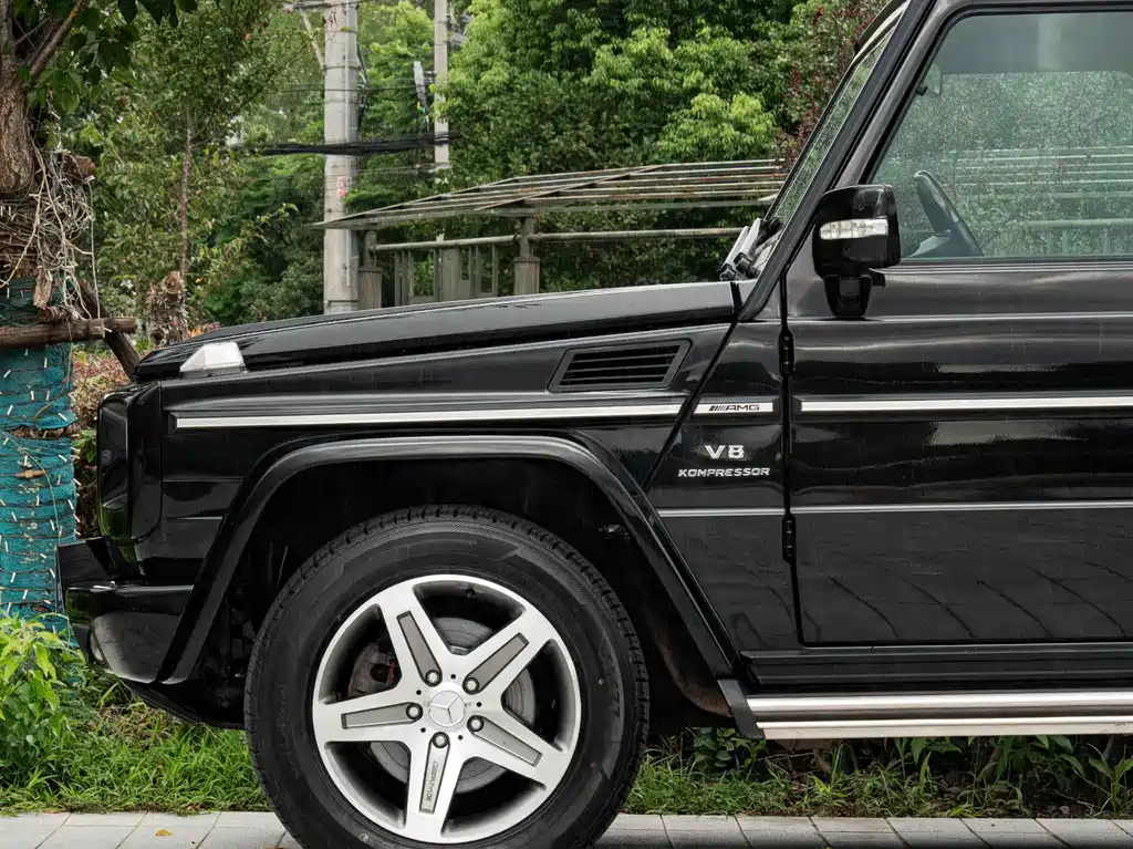 Mercedes-Benz G-Class AMG 2010 — фото 4