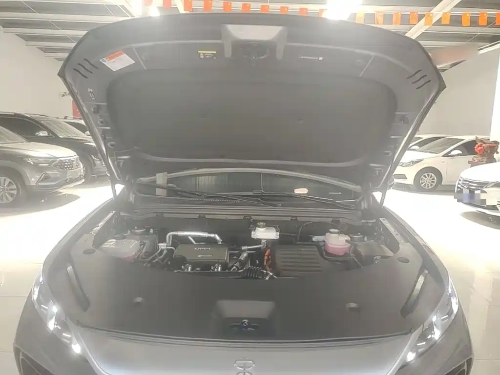 BYD Pro New Energy 2024 — фото 20