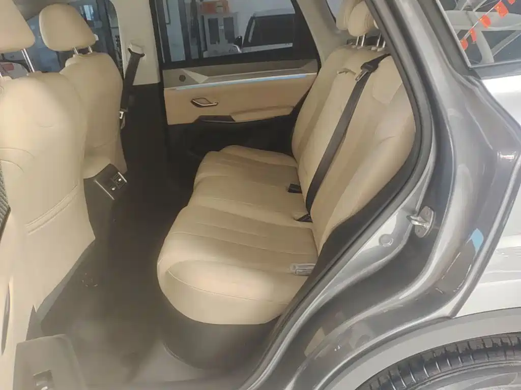 BYD Pro New Energy 2024 — фото 17
