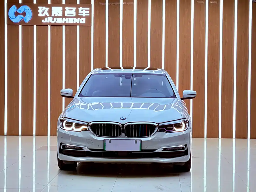 BMW 5 Series New Energy 2019