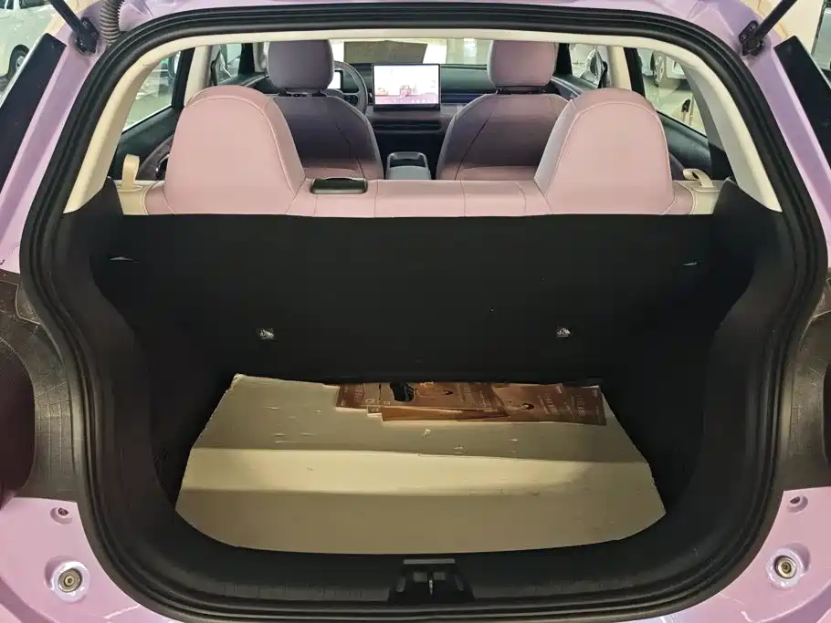Dongfeng Nano 01 2025