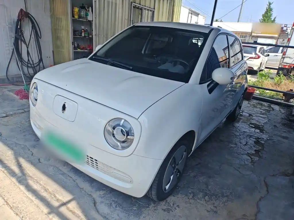 Ora Black Cat 2019 — фото 2