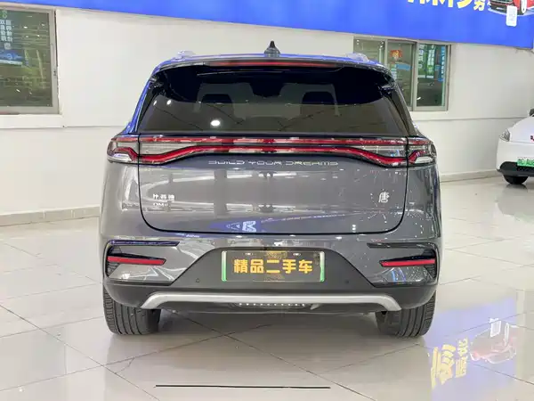 BYD Tang New Energy 2024