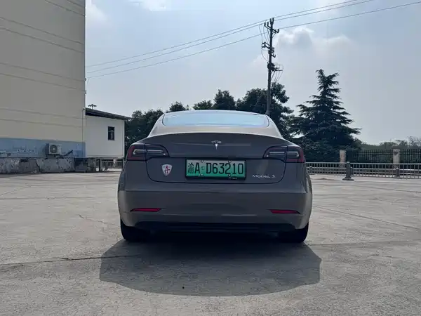 Tesla Model 3 2021