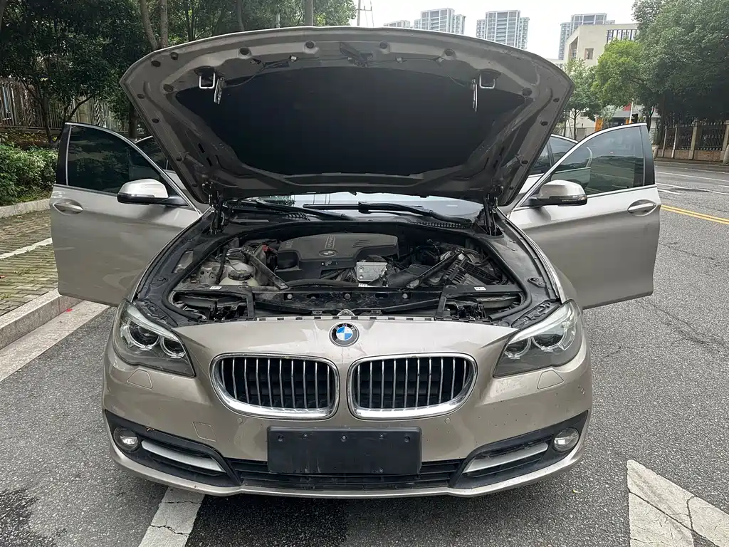 BMW 5 Series 2016 — фото 9