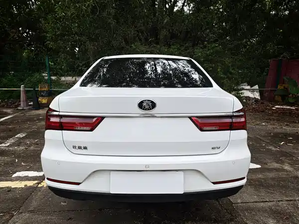 BYD Qin NEV 2021