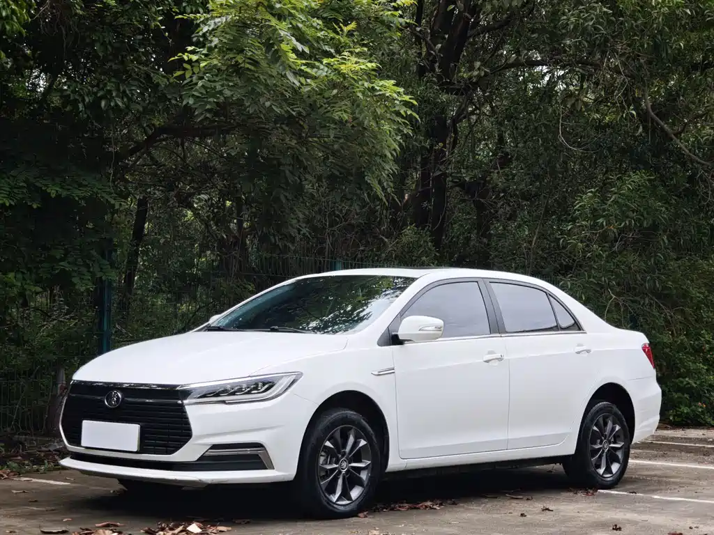 BYD Qin NEV 2021