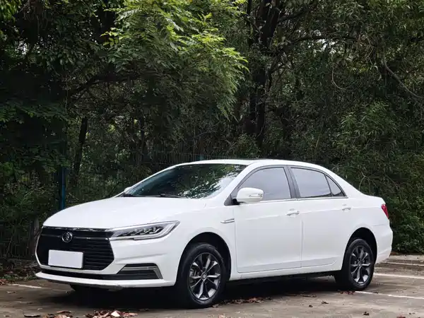 BYD Qin NEV 2021