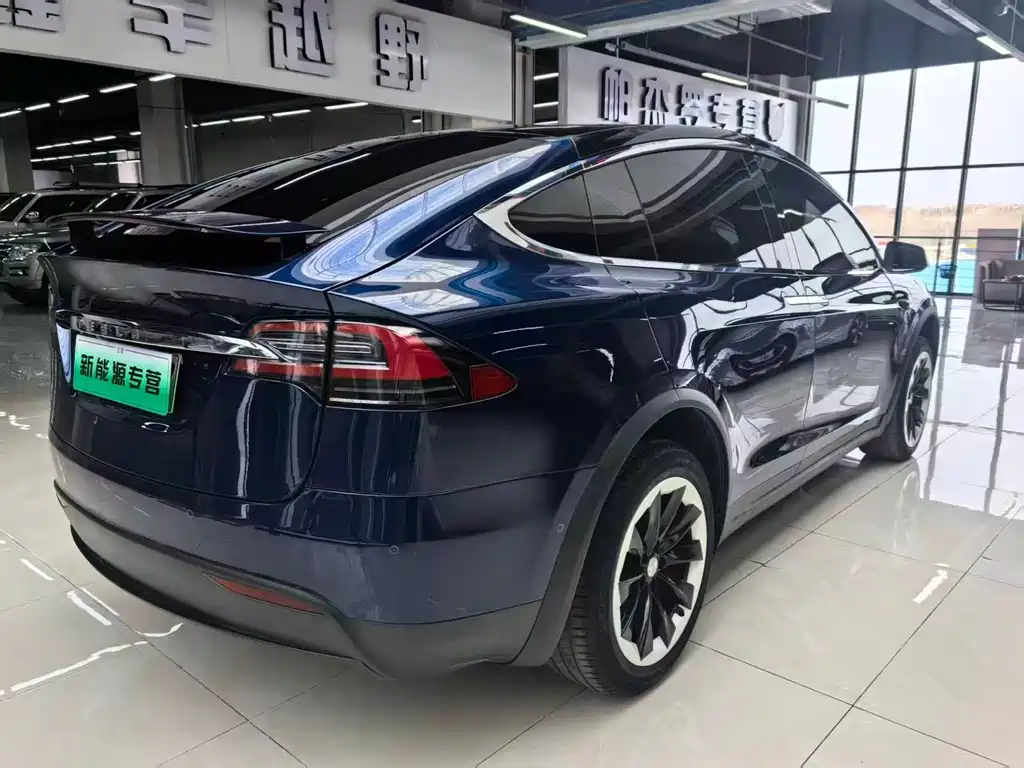 Tesla Model X 2017 — фото 4