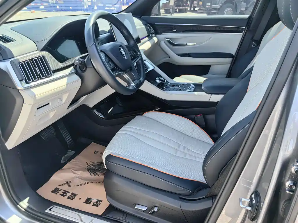 BYD PLUS New Energy 2022 — фото 13