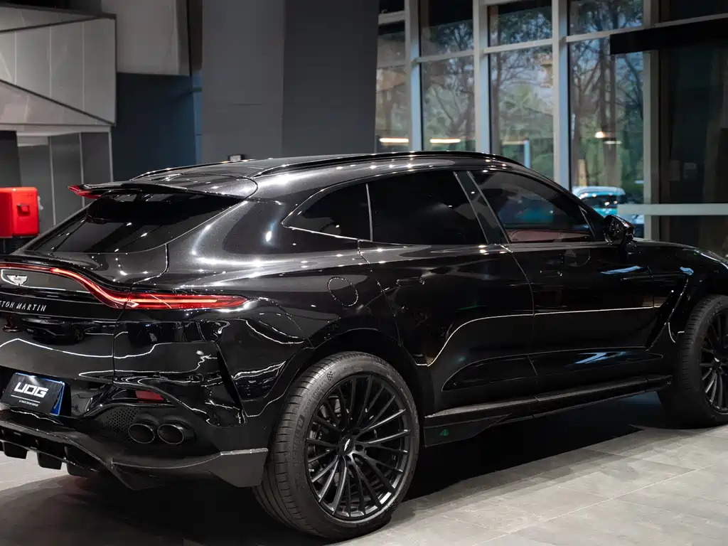 Aston Martin DBX 2021 — фото 11