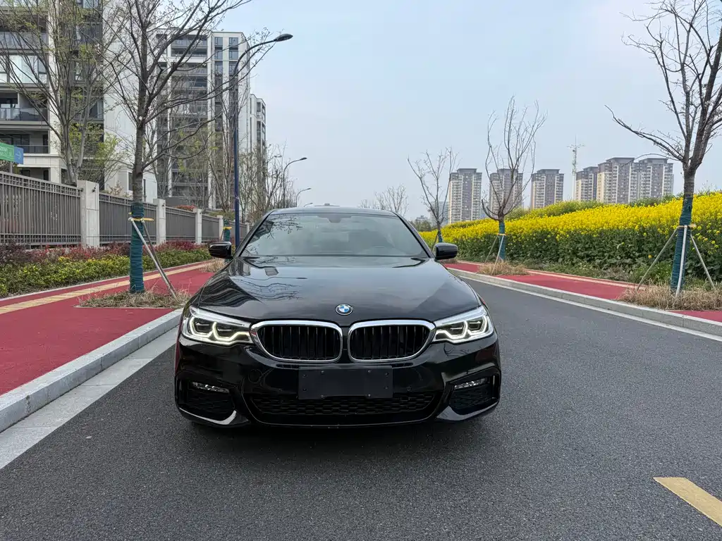 BMW 5 Series 2018 — фото 5
