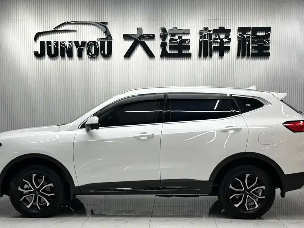 Haval H6 2023 — фото 8