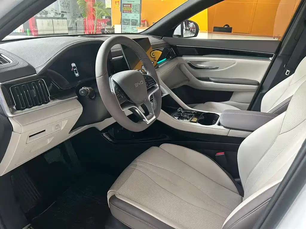 BYD Song PLUS New Energy 2024 — фото 4