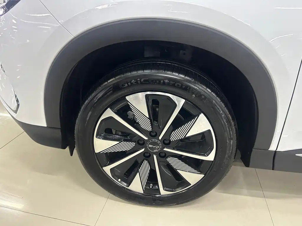 BYD Song PLUS New Energy 2024 — фото 23