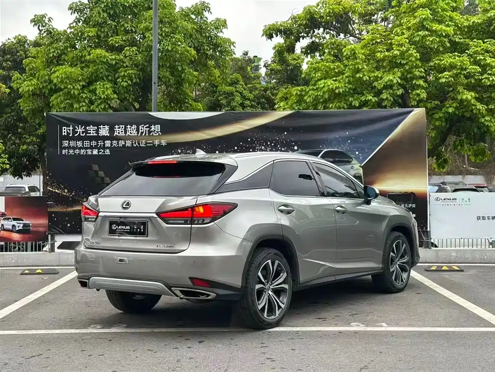 Lexus RX 2020 — фото 13
